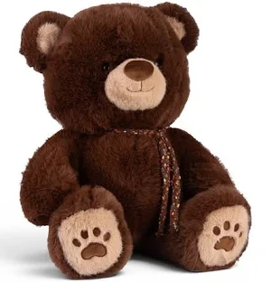 Plush Teddy Bear